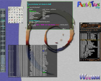 weewm_flashcode_2003-04-06.jpg